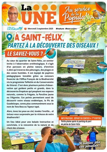 À Saint-Félix, partez à la découverte des oiseaux