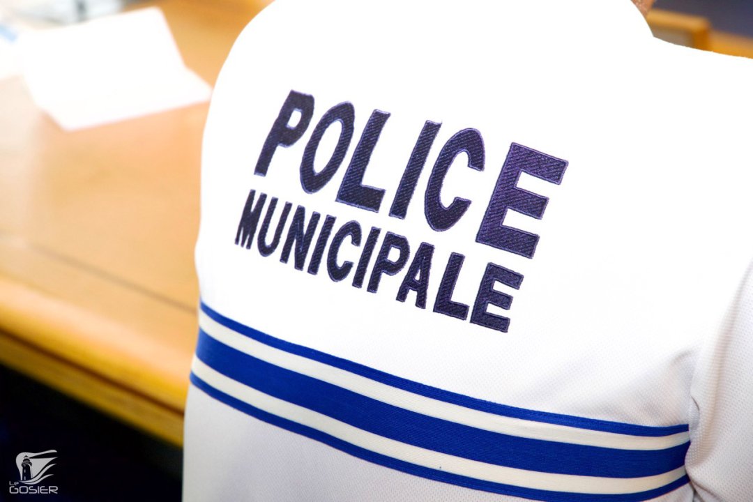 Carnet de prise de notes - Police municipale spécial terrain ! - Police  municipale - Collectivités locales - Documents & Accessoires